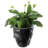 Doniczka Donica Z Wkładem Ogrodowa Czarna 32,5cm