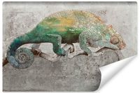 Fototapeta Do Jadalni ABSTRAKCJA Kameleon Beton Mural 405cm x 270cm