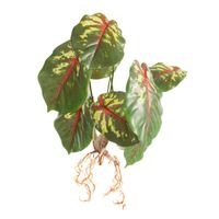 Kwiat sztuczny agloanema NATU ciemnozielono czerwony x6