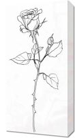 Obraz 30x60cm Kontur Róży