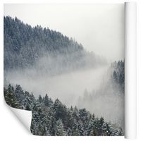 Fototapeta Las Drzewa Widoki CHMURY do Salonu 400x280