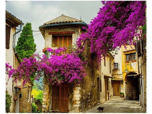 40X50CM STARE MIASTO PROWANSJI OBRAZ na Arena.pl