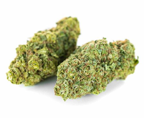 Susz konopny CBD AK 47 SUPER AMSTERDAM 1g na Arena.pl