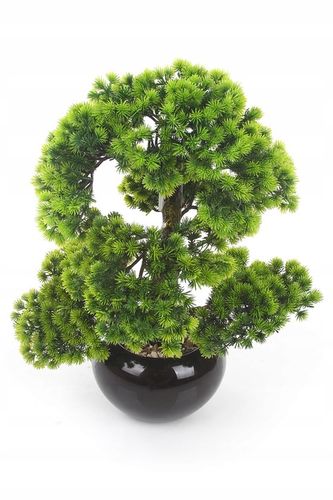 sztuczne drzewko BONSAI LARCH 48x35 modrzew w ceramicznej czarnej doniczce na Arena.pl