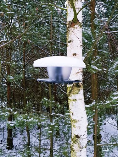 Karmnik okrągły dla ptaków Birdyfeed Budka Domek na zimę na Arena.pl