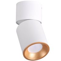 Regulowana lampa sufitowa Nixa downlight tuba biała złota