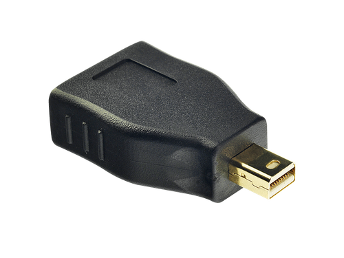 Lindy 41077 Adapter  DisplayPort > Mini DisplayPort na Arena.pl