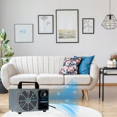 OZONATOR GENERATOR OZONU OCZYSZCZACZ DO POWIETRZA 60 000 mg/h +TIMER 110W na Arena.pl