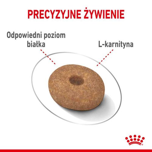 royal canin ccn mini light weight care 8kg na Arena.pl
