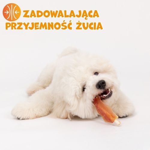 Przysmaki dla psa filet z piersi kurczaka 500g PAWFECT BITES na Arena.pl
