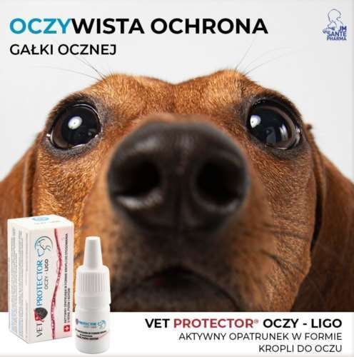 VET PROTECTOR OCZY - LIGO 3ml na Arena.pl