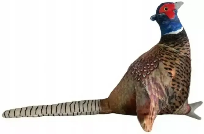 Bażant 30cm zdjęcie 1