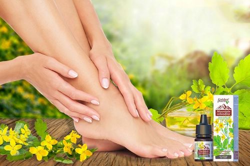 GLISTNIK GÓRSKI JASKÓŁCZE ZIELE EKSTRAKT KURZAJKI BRODAWKI MODZELE 20 ml na Arena.pl