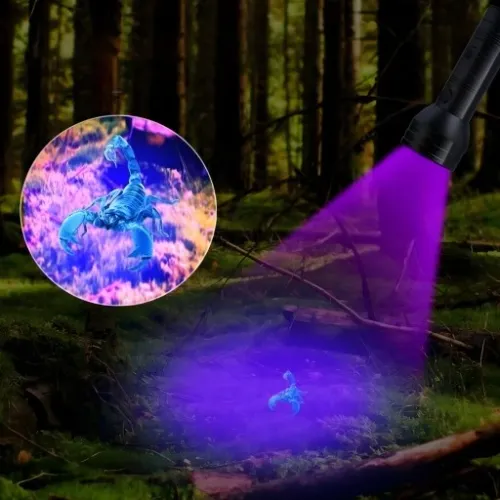 LATARKA UV LED TAKTYCZNA POLICYJNA AKUMULATOROWA SZPERACZ TESTER BURSZTYNU na Arena.pl