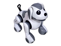 Interaktywny zdalnie sterowany Robot - Pies