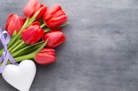 FOTOTAPETA na wymiar kwiaty KWIAT maki tulipany