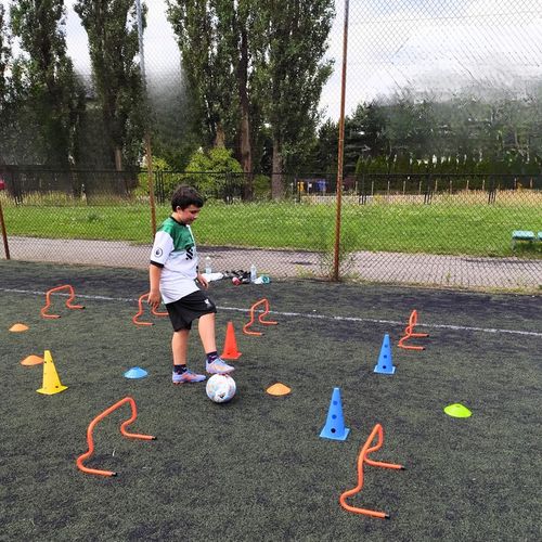 6x PŁOTEK PRZESZKODA TRENINGOWA PŁOTEK 15cm KOORDYNACYJNY TRENINGOWY na Arena.pl