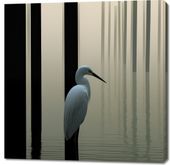 Obraz 100x100cm Mgiełka na Wodzie