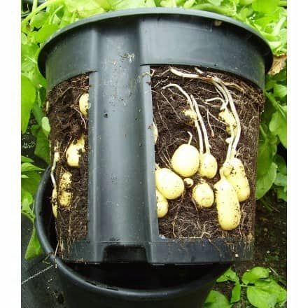 Doniczka okrągła Potato Grower 400 na Arena.pl