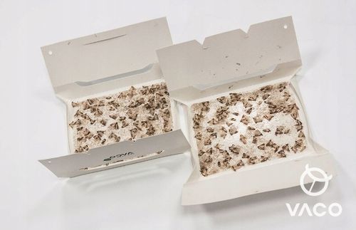 10x Silna Pułapka Na Mole Spożywcze Kuchenne Feromony Lep Na Mole na Arena.pl