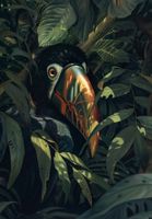 Plakat 68x98cm Skryty Tukan