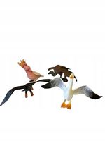 PTAKI 5 SZT. W FOLII 3191