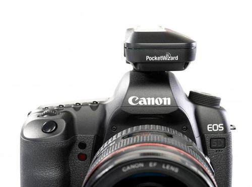 Nadajnik PocketWizard Mini TT1 Canon na Arena.pl