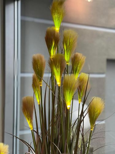 Sztuczna trawa dekoracyjna Premium podświetlana led 120 ciemne kotki na Arena.pl