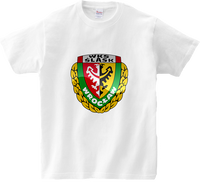 Koszulka T-shirt WKS Śląsk Wrocław