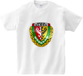 Koszulka T-shirt WKS Śląsk Wrocław