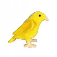 product-compare-61981596