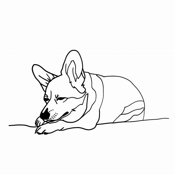 Plakat 90x90cm Śpiący Corgacz zdjęcie 1