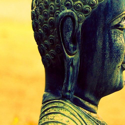 Deco Panel, Profil buddy 1 90x60 na Arena.pl