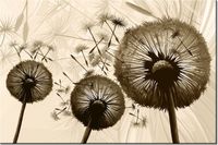 120CM 80CM OBRAZ ŚCIENNY DMUCHAWCE BEŻU