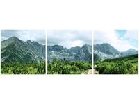 70X50CM OBRAZ POLNA KAMIENISTA DROGA ŚCIAN