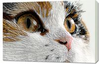 product-compare-59510259