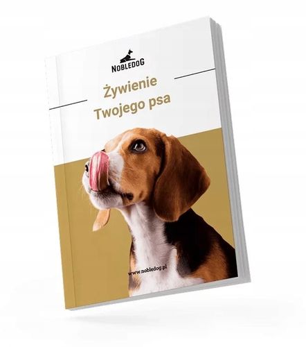 MISKI NA STOJAKU dla psa DUŻEGO STOJAK DREWNIANY bufet 2x 1,8 L + treserki na Arena.pl
