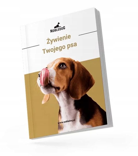 MISKI NA STOJAKU dla psa DUŻEGO STOJAK DREWNIANY bufet 2x 1,8 L + treserki zdjęcie 4