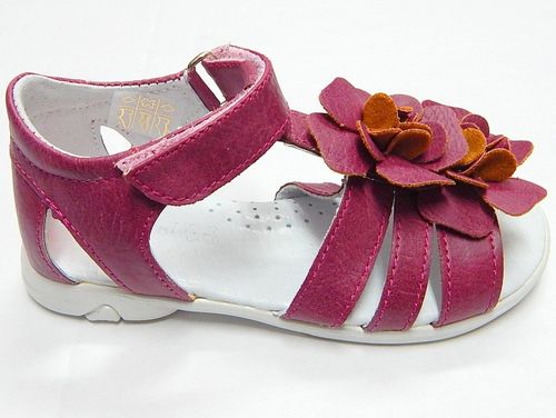 Kornecki 4124 Wrzos na Arena.pl