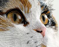 Plakat 50x40cm Nitkowany Kot