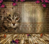 Tło fotograficzne Produktowe FLAT LAT Kulinarne