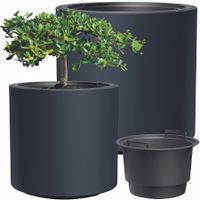 product-compare-61157293