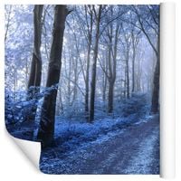 Fototapeta Zaczarowany Las NATURA Drzewa do Salonu 300x210