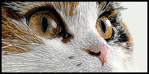 Plakat 91,3x44,5cm Nitkowany Kot na Arena.pl