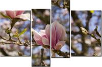 130CM 85 OBRAZ 4 ELEM KWITNĄCE MAGNOLIE ŚCIENNY