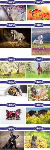 fototapety FOTOTAPETA 3d dekoracyjna koń unicorn na Arena.pl