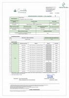 Olejek Konopny CBD 10% | Dla Psa 1000mg 11ml | Weterynaryjny | Bez THC