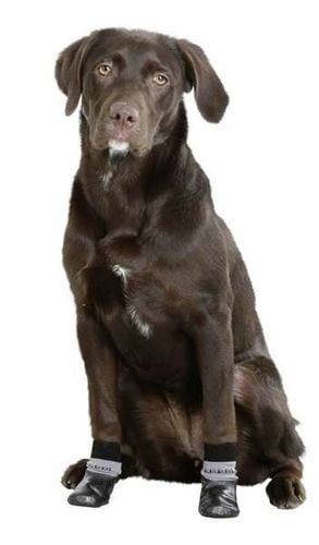 KERBL skarpetki skarpety dla psa antypoślizgowe ochronne 2 szt. para XL na Arena.pl