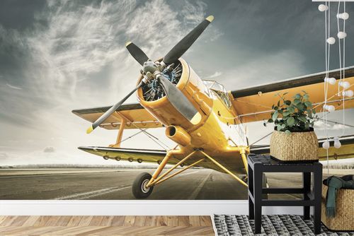 Fototapeta Zabytkowy Samolot Flizelina 400x280 na Arena.pl