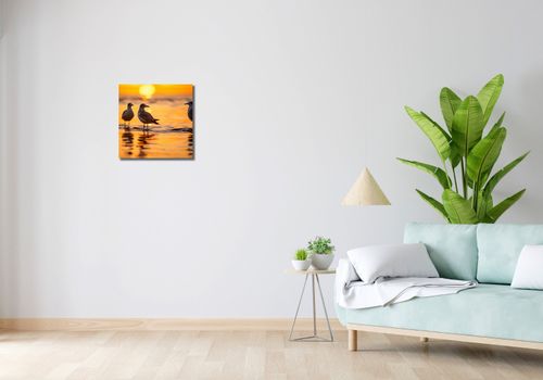 Obraz 40x40cm Mewia Gawęda na Arena.pl